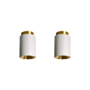 DCWéditions Tobo C85 Duo Loftlampe Hvid