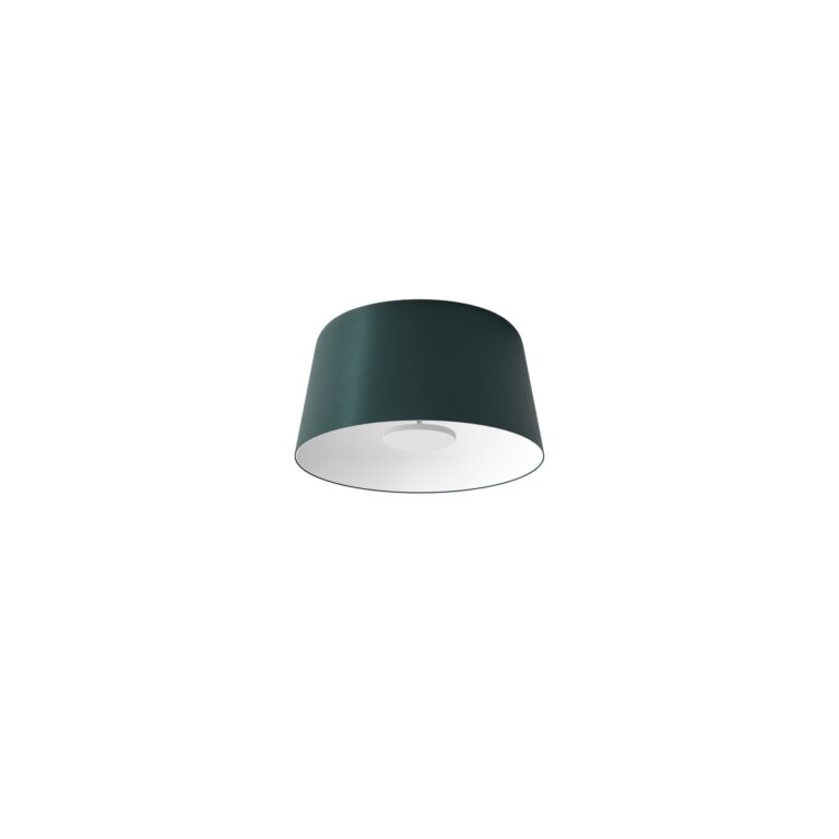 Delfi_S Loftlampe Ø45 Grønblå