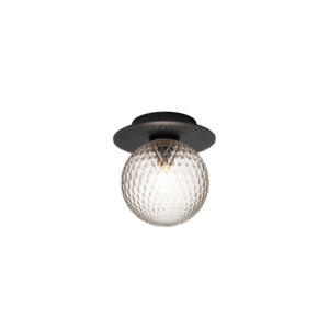 Liila 1 Outdoor væglampe / loftlampe, sort/klar