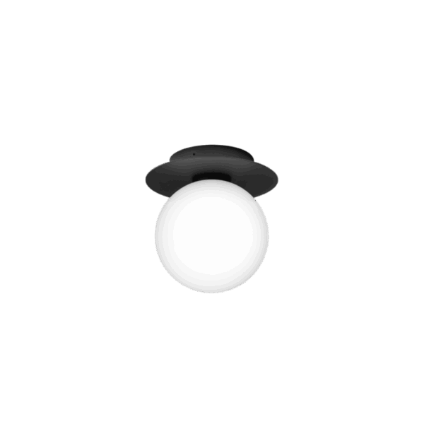 Liila 1 Outdoor væglampe / loftlampe, sort/opal