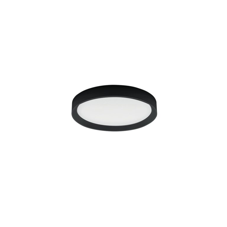 Tara_R Loftlampe Ø41 Sort