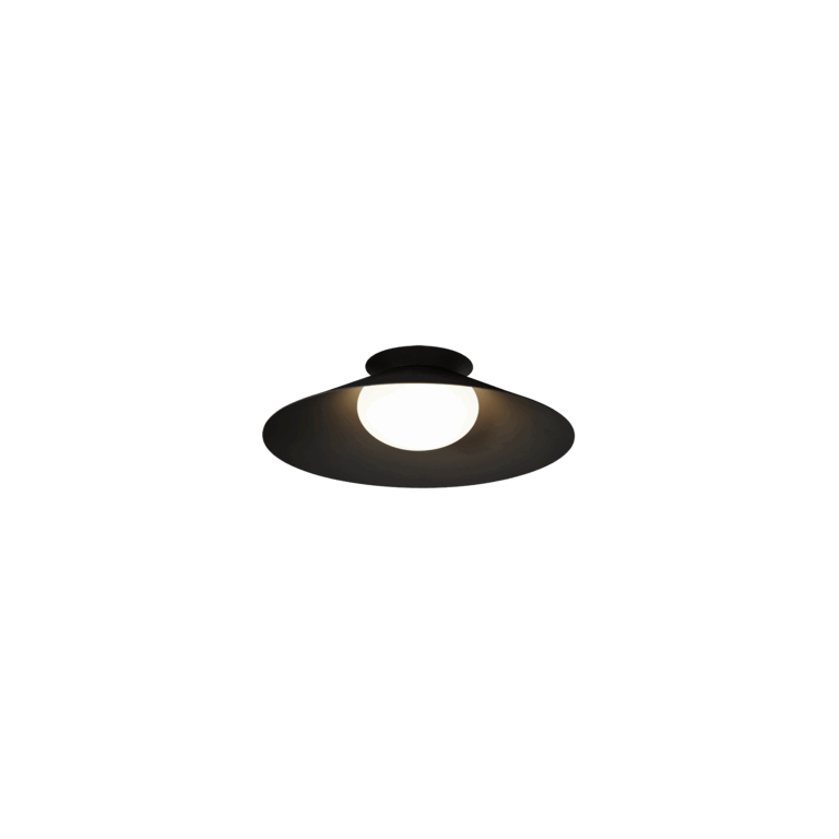 Wever & Ducré CLEA 1.0 Loftlampe 2700K Mat Sort