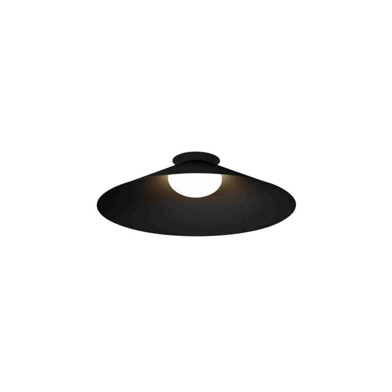 Wever & Ducré CLEA 2.0 Loftlampe 2700K Mat Sort