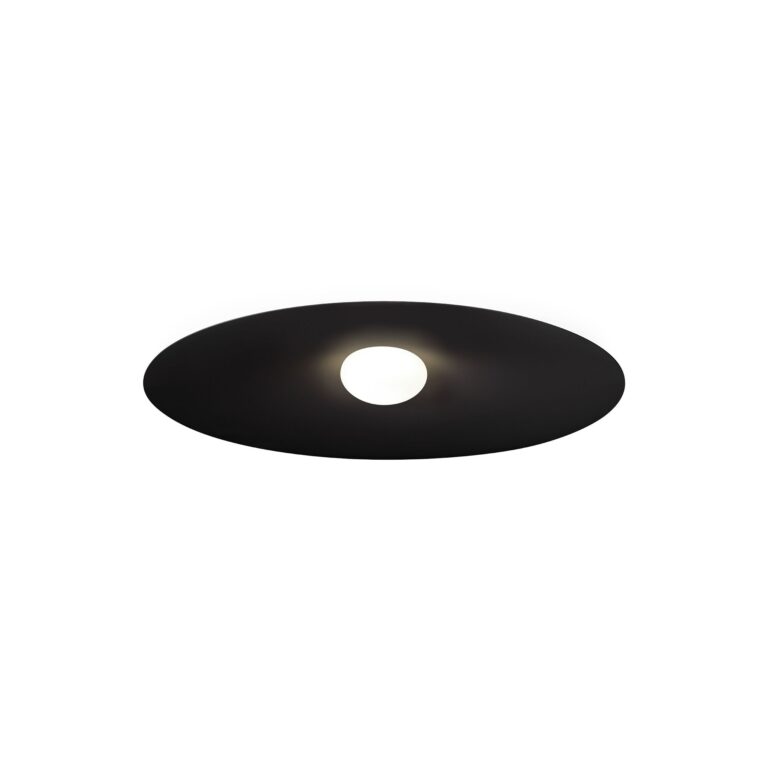 Wever & Ducré CLEA 3.0 Loftlampe 2700K Mat Sort